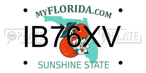 IB76XV Florida License Plate