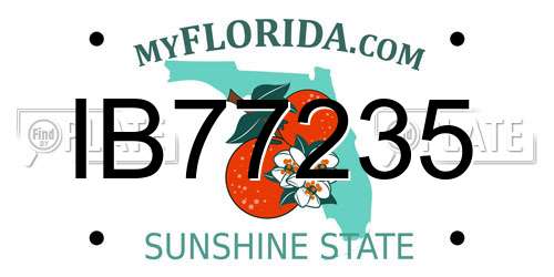 IB77235 Florida License Plate