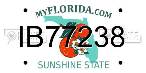 IB77238 Florida License Plate