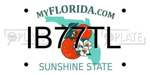 IB77TL Florida License Plate