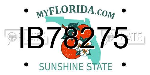 IB78275 Florida License Plate