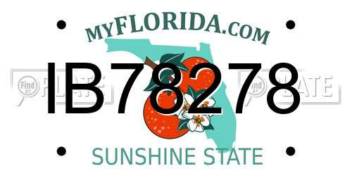 IB78278 Florida License Plate