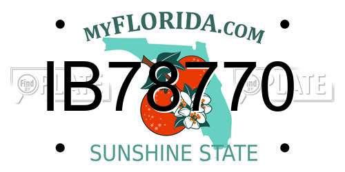IB78770 Florida License Plate