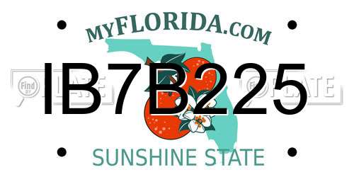IB7B225 Florida License Plate