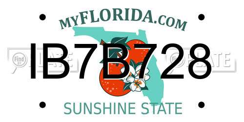 IB7B728 Florida License Plate