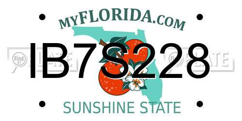 IB7S228 Florida License Plate