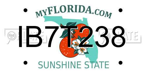IB7T238 Florida License Plate