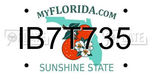 IB7T735 Florida License Plate