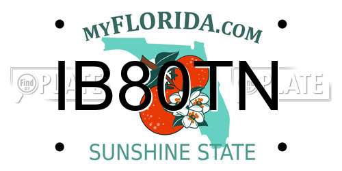 IB80TN Florida License Plate