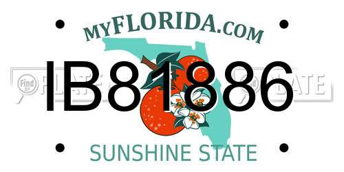 IB81886 Florida License Plate