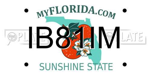 IB81IM Florida License Plate