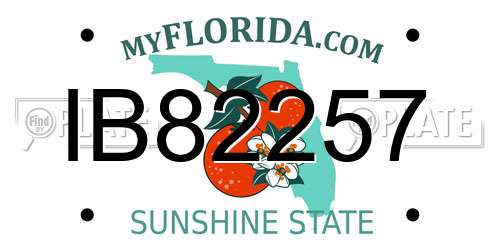 IB82257 Florida License Plate