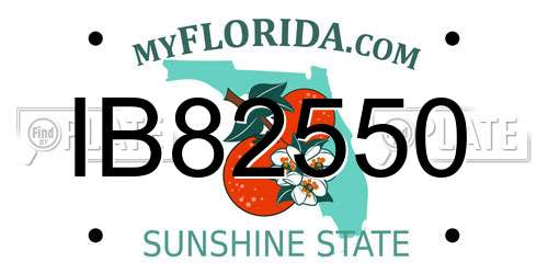 IB82550 Florida License Plate