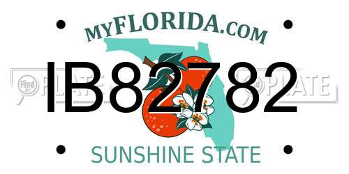 IB82782 Florida License Plate