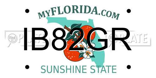 IB82GR Florida License Plate