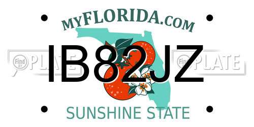 IB82JZ Florida License Plate