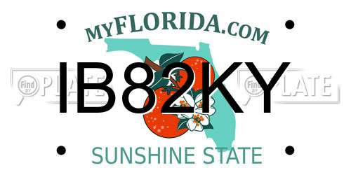 IB82KY Florida License Plate