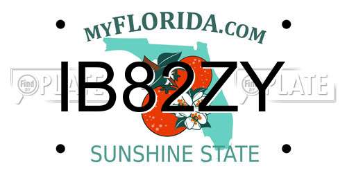 IB82ZY Florida License Plate