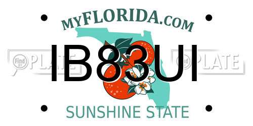 IB83UI Florida License Plate