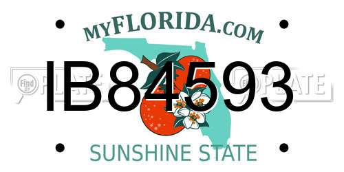 IB84593 Florida License Plate