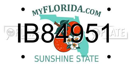 IB84951 Florida License Plate