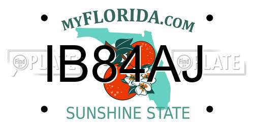 IB84AJ Florida License Plate
