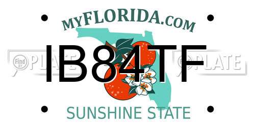 IB84TF Florida License Plate