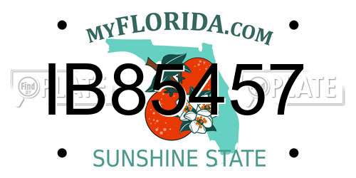 IB85457 Florida License Plate