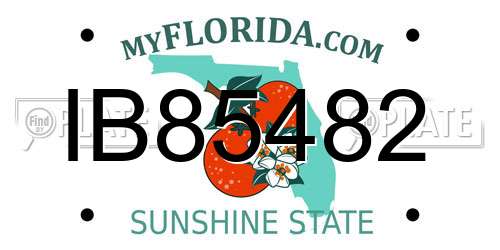IB85482 Florida License Plate