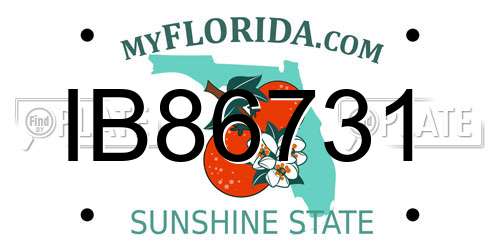 IB86731 Florida License Plate