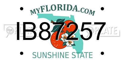 IB87257 Florida License Plate