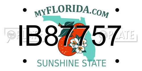 IB87757 Florida License Plate