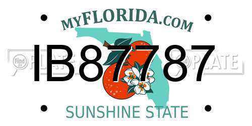 IB87787 Florida License Plate