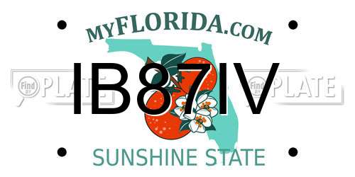 IB87IV Florida License Plate
