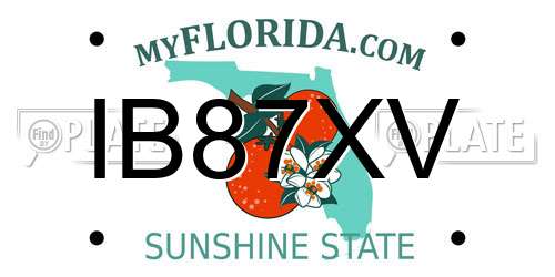 IB87XV Florida License Plate