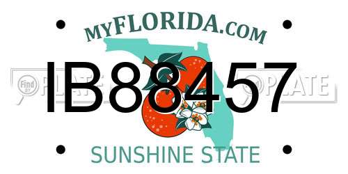 IB88457 Florida License Plate