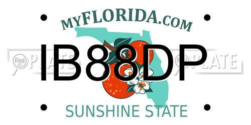 IB88DP Florida License Plate