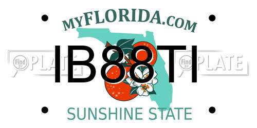 IB88TI Florida License Plate