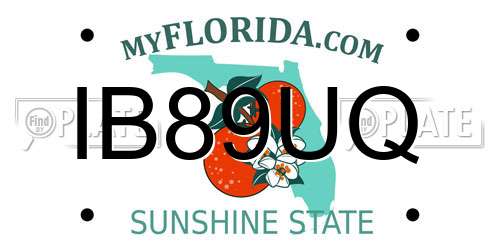 IB89UQ Florida License Plate