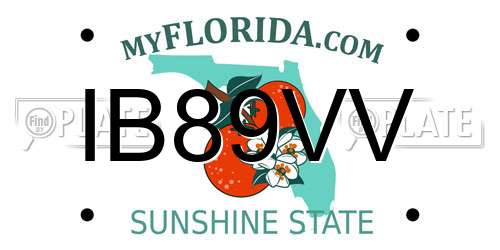 IB89VV Florida License Plate