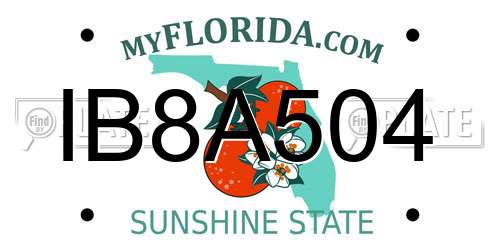 IB8A504 Florida License Plate
