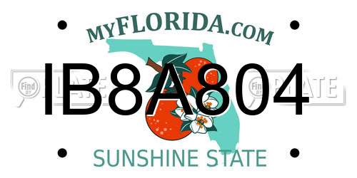 IB8A804 Florida License Plate