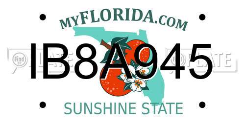 IB8A945 Florida License Plate