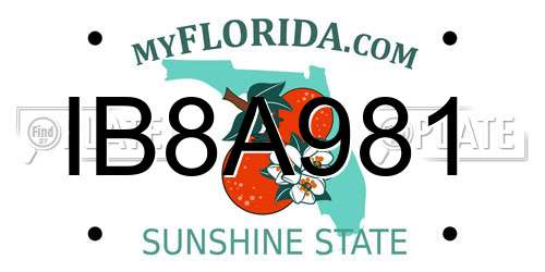 IB8A981 Florida License Plate