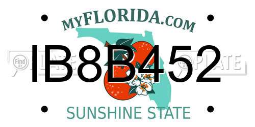 IB8B452 Florida License Plate
