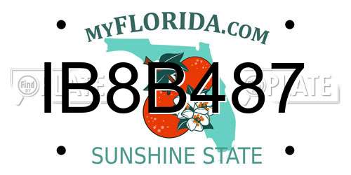 IB8B487 Florida License Plate