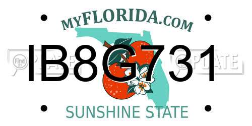 IB8G731 Florida License Plate