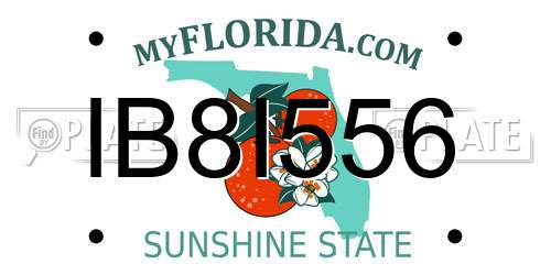 IB8I556 Florida License Plate