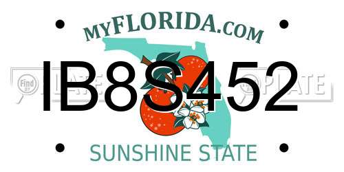 IB8S452 Florida License Plate