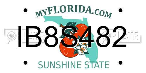 IB8S482 Florida License Plate